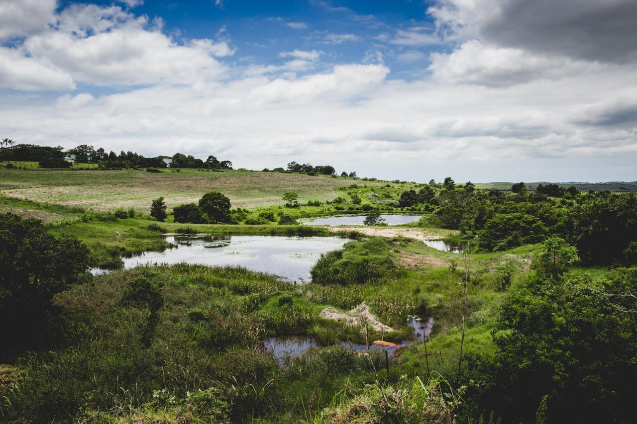 Oribi Gorge Guest Farm Hotell Glendale Eksteriør bilde